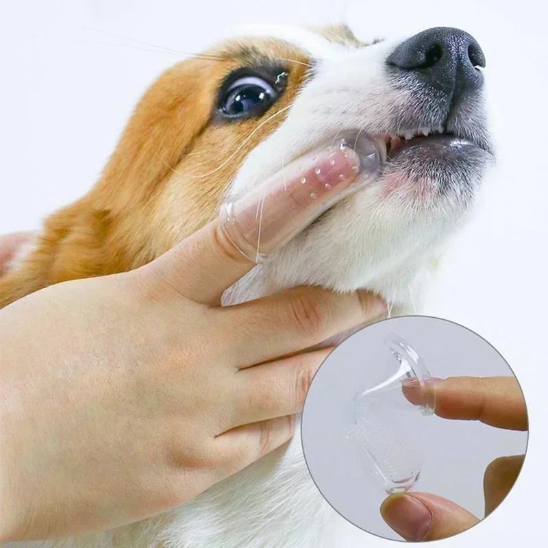 Super Soft Pet Finger Toothbrush for Dog
