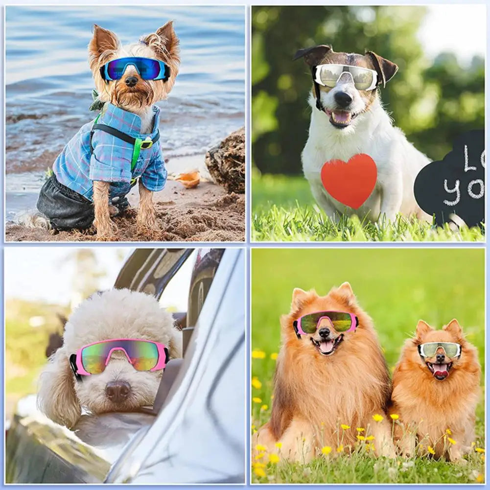 Windproof Dog Glasses Outdoor Eye Protection Windproof