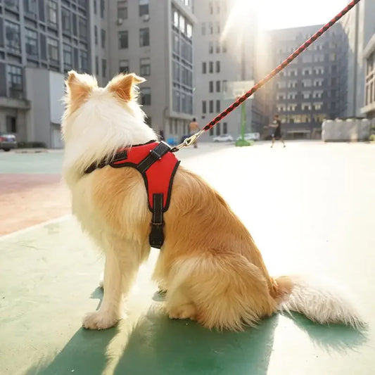Pet Harness Adjustable Breathable Pet Dog Puppy