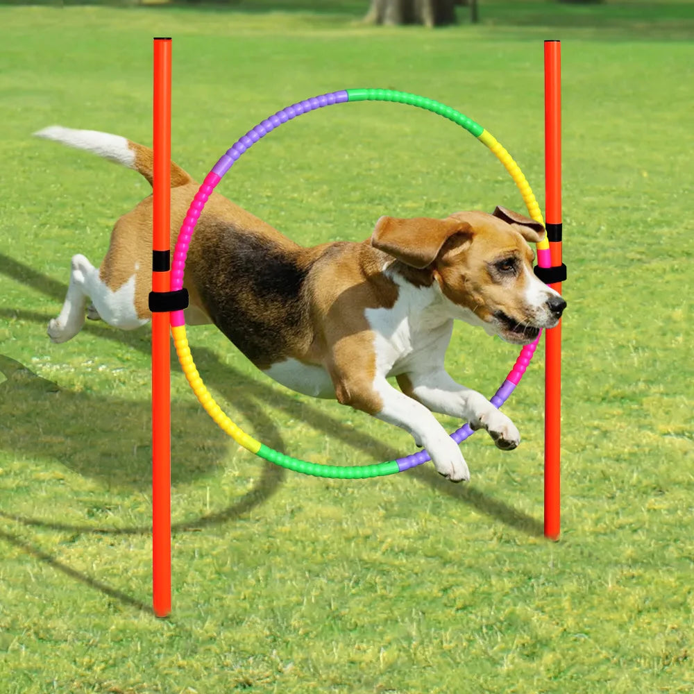 Outdoor Dog Obstacle Training Set Pet Agility Equipment Jumping