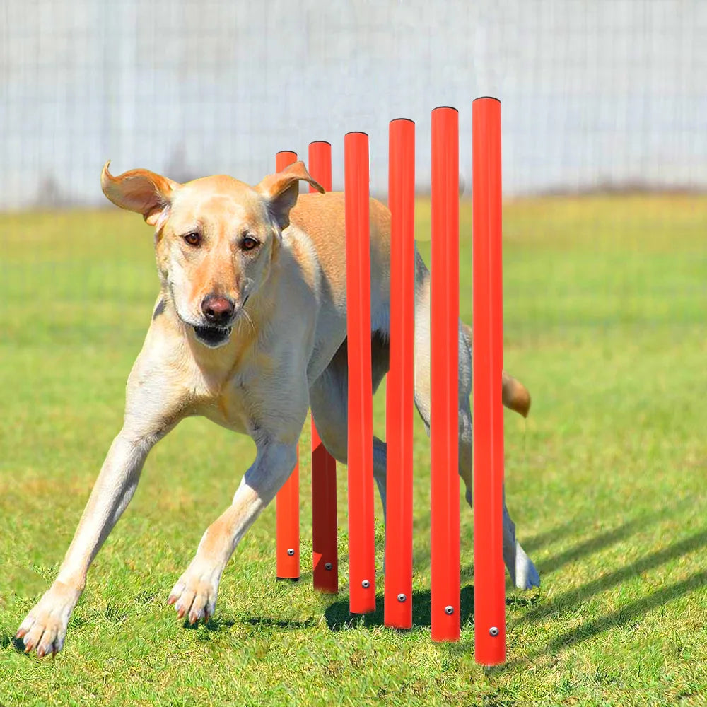 Outdoor Dog Obstacle Training Set Pet Agility Equipment Jumping