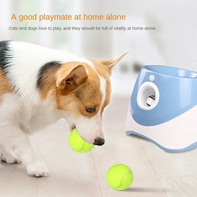 Automatic Pet Throw Jump Ball Dog Catapult Ball Launcher Dog Toy