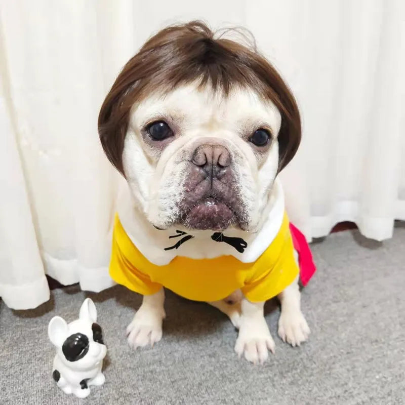 NONOR Pet Wigs Cosplay Props Funny Dogs