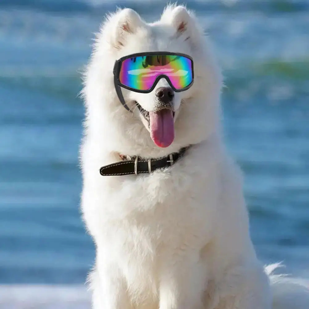 Windproof Dog Glasses Protective Dog Sunglasses