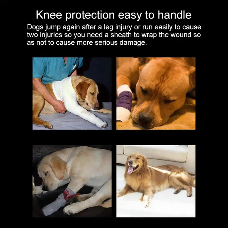 Adjustable Pet Dog Bandages Dog Injurie Leg Knee