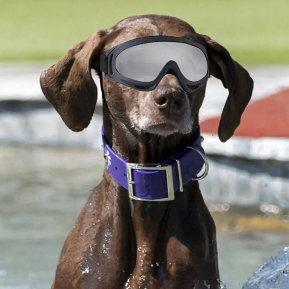 Windproof Dog Glasses Protective Dog Sunglasses